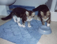 Samson and Delilah cattin' around.