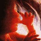 Thou Shalt Not Kill - Deuteronomy 5:17