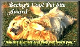 Rebecca's Cool Pet Site Award