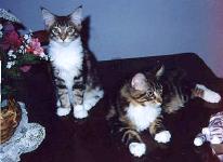 Samson and Delilah taking a break.