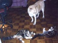 Samson and Delilah playing with ??