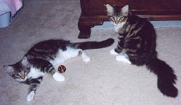 Samson and Delilah goofing off.